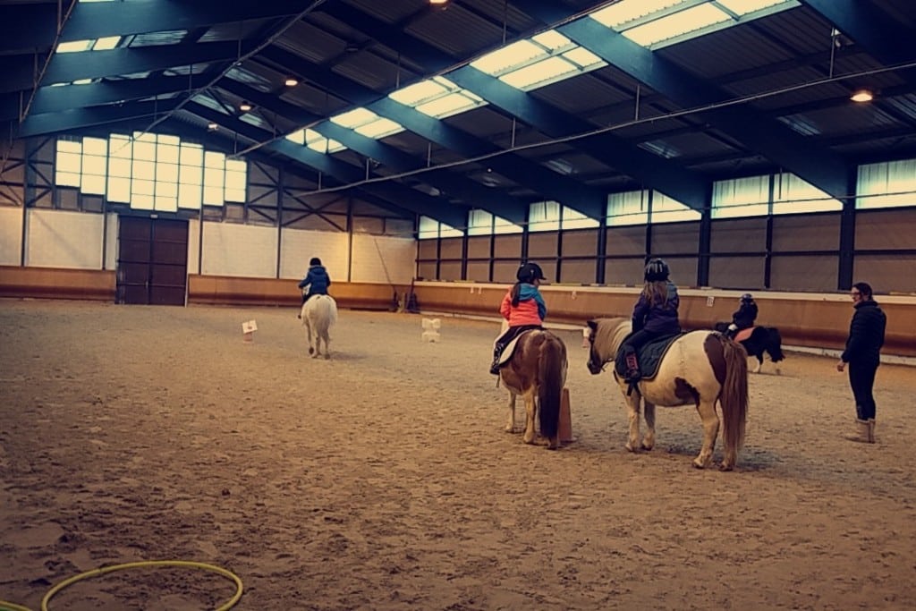 Eclairage carrière et manège centre équestre Speqtris Sport — free download