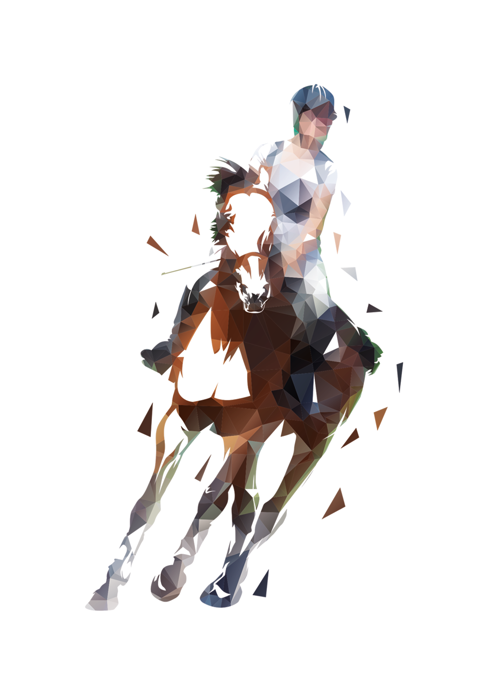 Eclairage carrière et manège centre équestre Speqtris Sport — free download